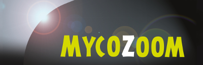 mycozoom